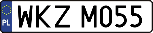 WKZM055