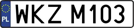 WKZM103