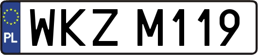 WKZM119