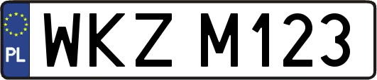 WKZM123
