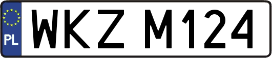 WKZM124