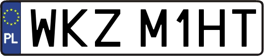 WKZM1HT