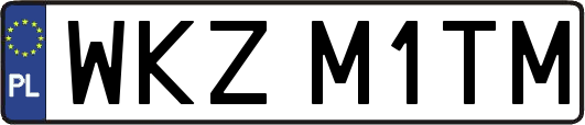 WKZM1TM