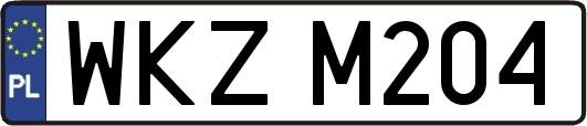 WKZM204