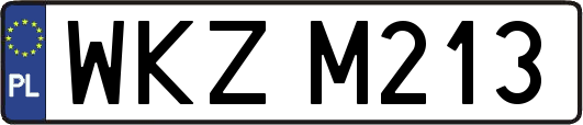 WKZM213