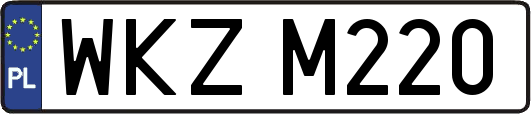 WKZM220