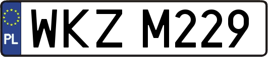 WKZM229