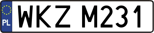 WKZM231