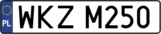 WKZM250
