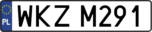 WKZM291