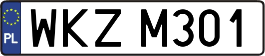 WKZM301