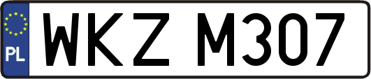 WKZM307