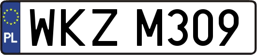 WKZM309