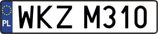 WKZM310