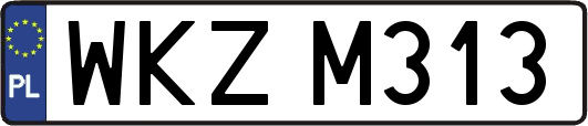 WKZM313