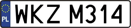 WKZM314