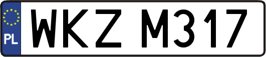 WKZM317