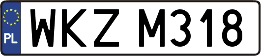 WKZM318