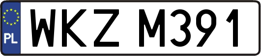 WKZM391