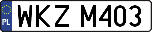 WKZM403
