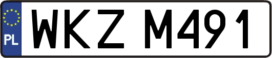 WKZM491