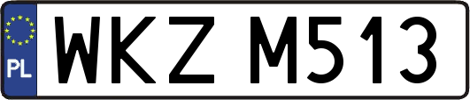 WKZM513