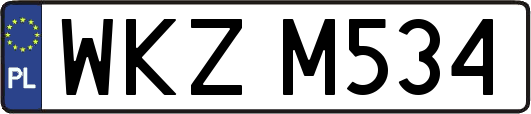 WKZM534