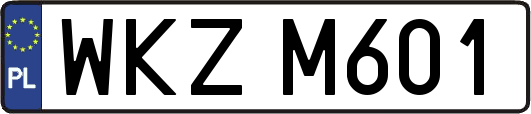 WKZM601