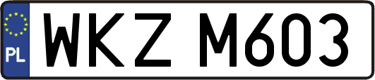 WKZM603
