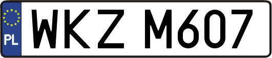 WKZM607