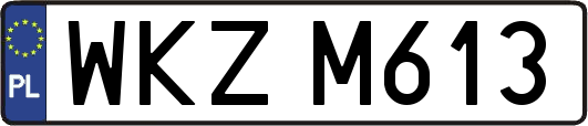 WKZM613