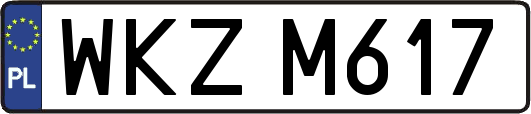WKZM617