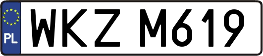 WKZM619