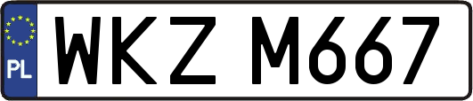 WKZM667