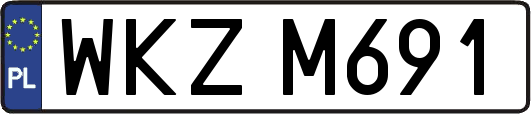 WKZM691
