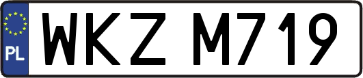 WKZM719