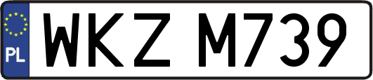 WKZM739