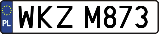 WKZM873