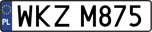 WKZM875
