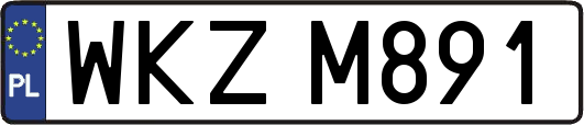 WKZM891