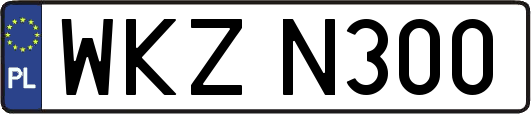 WKZN300