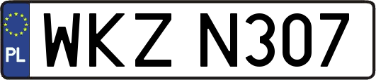 WKZN307