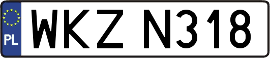 WKZN318