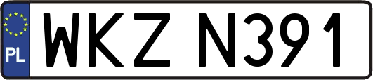 WKZN391