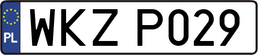 WKZP029