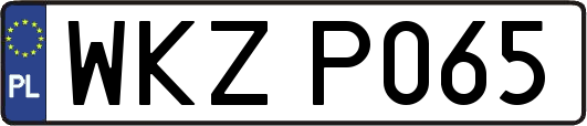 WKZP065