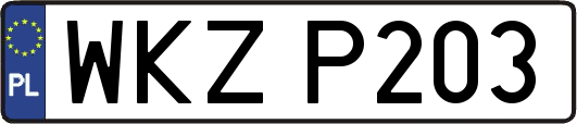WKZP203