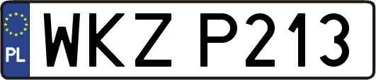 WKZP213