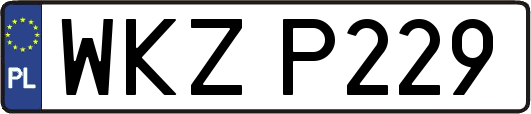WKZP229