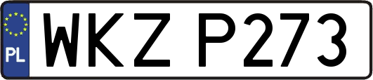 WKZP273